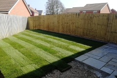 Lawn-and-Patio-6