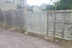 Panel Fencing (Before)