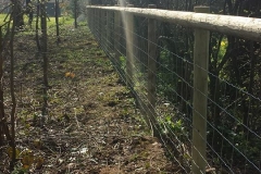 Stock Fencing 1 (After)