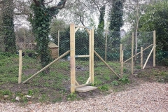 Stock Fencing (After)