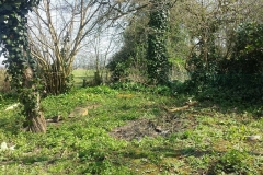 Stock Fencing (Before)