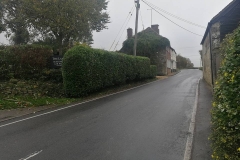 Commercial Hedge Trimming (After)