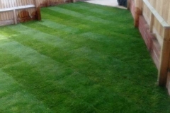 Lawn Turfing (After)