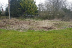 Raised Beds (Before)