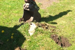 Tree Stump Removal