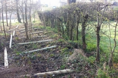 Stock Fencing 1 (Before)