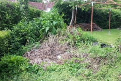 The Lamb Overgrowth (Before)