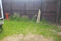 Raised Border and Shed (Before)