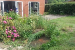 Paved Patio and Retaining Wall (Before)